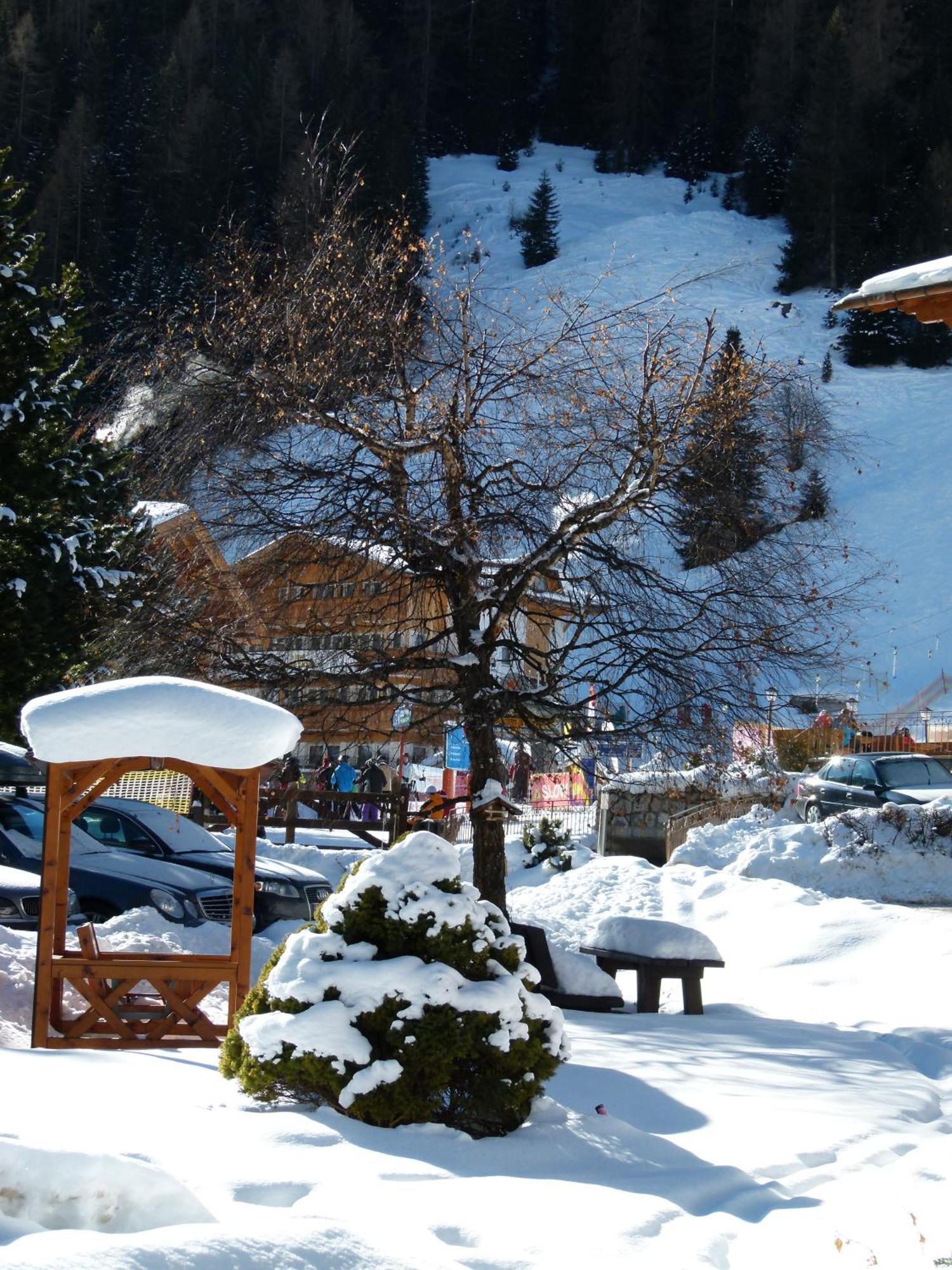 Chalet Elisabeth Dolomites Alpin & Charme Hotel Selva di Val Gardena Exterior foto