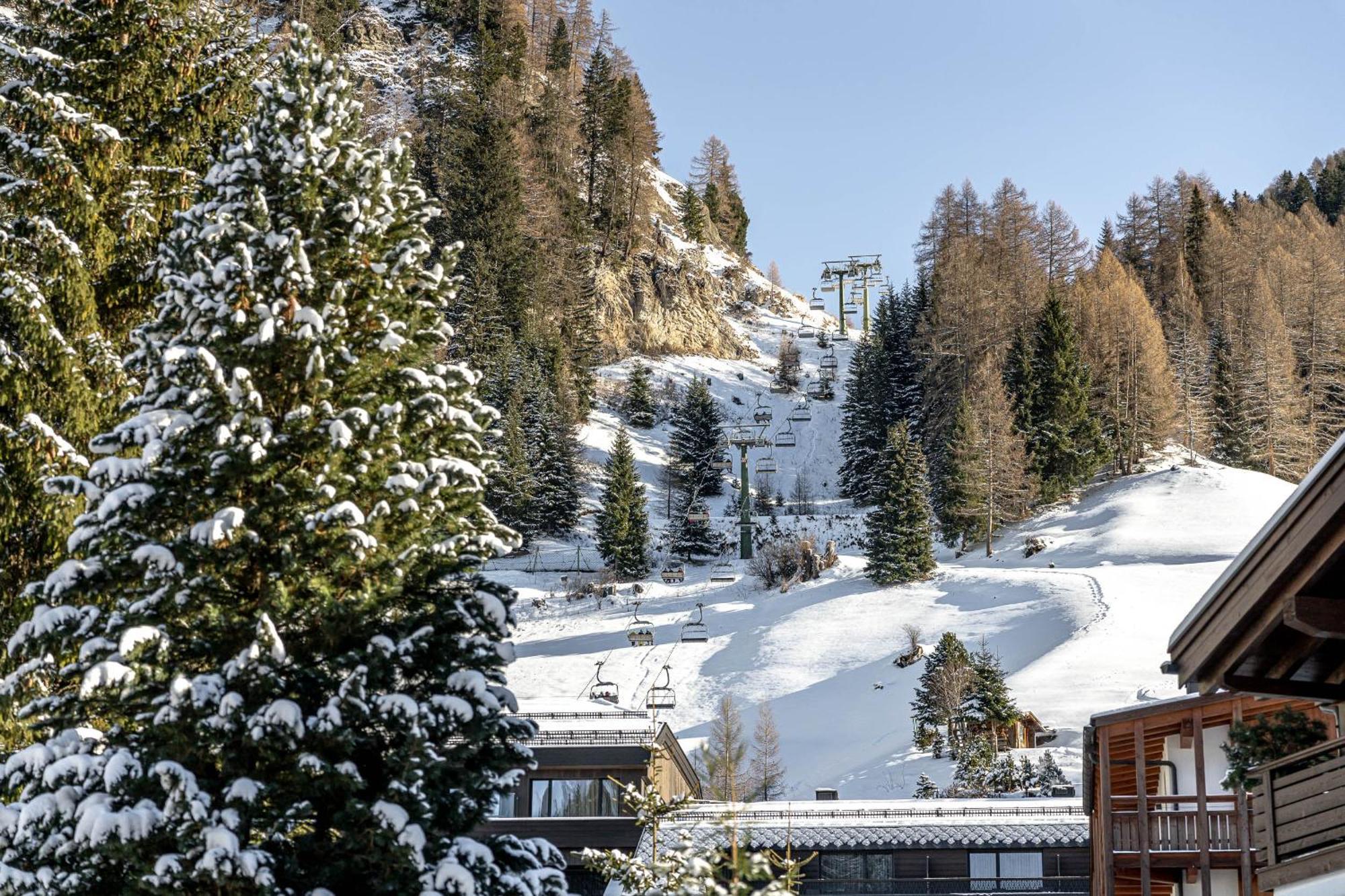 Chalet Elisabeth Dolomites Alpin & Charme Selva di Val Gardena Exterior foto